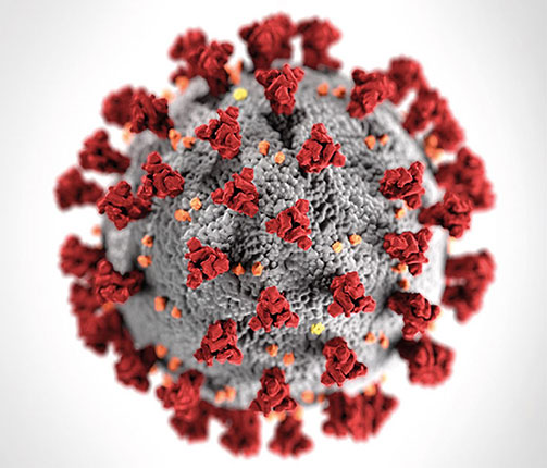 Cdc Coronavirus 503X430px