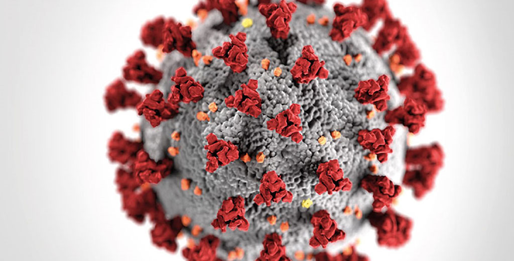 Cdc Coronavirus 1024X521px